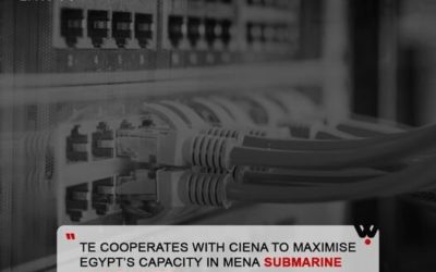 TE cooperates with Ciena to maximize Egypt’s capacity in MENA submarine cable system